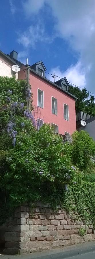 Logenplatz Ueber Trier Villa Exteriör bild